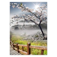 Samolepky A5 PRIVATE Japan Cherry Blossom