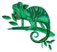 NÁLEPKA NA SKLENÝ NÁBYTOK ZRKADLO CHAMELEON GEKOON