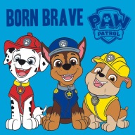 Uterák MAGIC TOWEL PAW PATROL 30x30