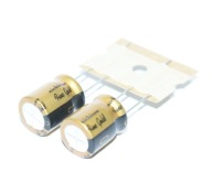 AUDIOFIL NICHICON FG Fine Gold 22uF/100V - 2 kusy (#627)