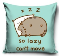 PUSHEEN obliečka na vankúšik Jasiek mačiatko mačka 40x40 zamat VELVET