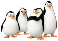NÁLEPKA NA ZRKADLOVÉ OKNO TUČŇAKY Z MADAGASKARU