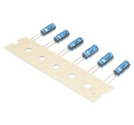 AUDIOFIL NICHICON KA 100uF/6,3V - 6 ks (#249)