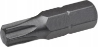 TORX T40x25 SKRUTKOVACÍ BIT 1 KS