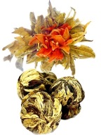 Tea Blooming Lily Ball, rozkvitnutá guľa kvetov oranžovej ľalie