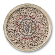 Viking Malt Strzegom ražný slad 1kg zr