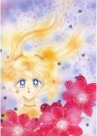 Plagát Bishoujo Senshi Sailor Moon bssm_071 A3