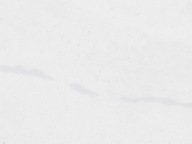 ABS hrana S63045 SM 43x2 mm India White Rehau (4202E)