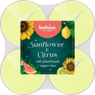 BOLSIUS Maxi vonné sviečky Čajové sviečky 8h SLNEČNICA a CITRUS 8 ks