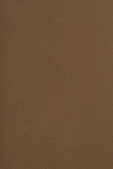 Farebný doskový papier Bristol 250g hnedý - 10SRA3
