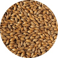 Best Ale Crisp jačmenný slad 1 kg