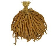 Žlté senegalské proso v klasoch 0,5 kg