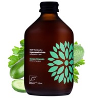 KOMBUCHA Uhorka + Koriander LB VIGO BEZLEPKU 0,3l