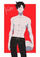 Plagát Anime Manga Haikyuu hy_044 A3