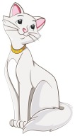 NÁLEPKA NA OKNO NÁBYTOK ZRKADLO KAT