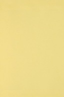 Farebný papier Bristol 250g žltý - 10A3