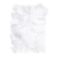 Ozdobné pierka - biele, 10 g
