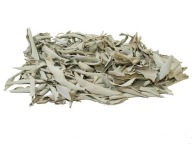 Biela šalvia (sušená 25g) čistiace kadidlo (White Sage / SALVIA APIANA