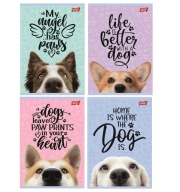 Zápisník A5 - 16k Unipap DOG color line