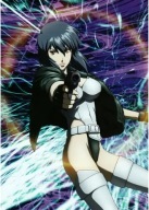 Plagát Anime Manga Ghost in the Shell gits_020 A3