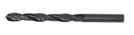 HIKOKI VRTAČKA DO KOVU HSS-R 10,5MM 780022