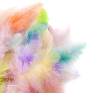 ozdobné pierka veľké balenie 5 g PASTEL