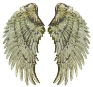 Termo nášivka Flitre Gold Wings VEĽKÁ 34cm