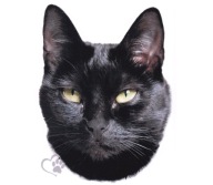 Nálepka Nálepka Cat Kitten Tomcat Black UV