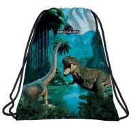 TAŠKA NA OBUV DINOSAUR 19 DERFORM