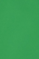 Farebný papier Bristol 250g zelený - 10A3