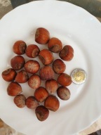 Lieskové orechy veľké 1 KG 1000 gramov Chutné v škrupinách