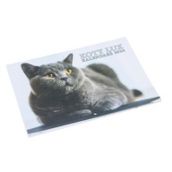 Nástenný kalendár CATS LUX na rok 2024 do vašej HOME OFFICE