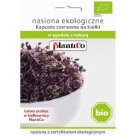 BIO semená klíčkov - Červená kapusta 10g