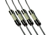 Poistka keramická 5X20mm DPS F 10A/250V 2 ks