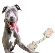 Ťahačka pre psa Puppy lano 32 cm