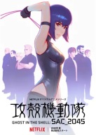 Plagát Ghost in the Shell gits_018 A3 (vlastné)