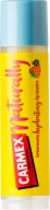 CARMEX Prirodzene intenzívne hydratačný balzam na pery - Čučoriedka 4,25g