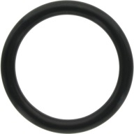 Tesniaci O-krúžok 31,5x4,5 mm čerpadlo ANNOVI REVERBERI