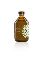 VIGO Kombucha uhorka + koriander (315ml) - BIO
