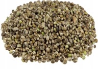 Semená kapra Konopné/Konopné semienko 1kg