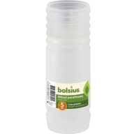 BOLSIUS PARAFÍNOVÁ NÁPLŇ 5 DŇOVÉ BALENIE 15 KS