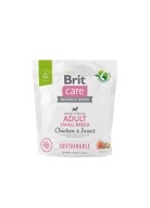 BRIT CARE TRVALO UDRŽATEĽNÉ KRMIVO PRE DOSPELÝCH PRE MALÝCH KURACÍCH HMYZ PRE PSY 1 kg