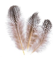 STRAKOVANÉ ozdobné pierka 3-8 cm 24 kusov
