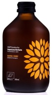 Kombucha so zázvorom a acerolou 315ml - Vigo