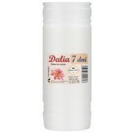 Dalia 7 príspevok