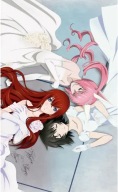Anime Manga Steins; Gate Poster sg_047 A3 (vlastné)