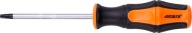 Torx skrutkovač T27 x 100 mm