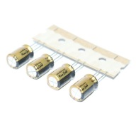 AUDIOFIL NICHICON FG Fine Gold 100uF/25V - 4 kusy (#651)