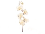 Kvetinová kvetina Orchidea 75 cm krémová
