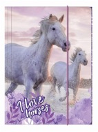 Leporelo s gumičkou A4 HORSES 25 DERFORM, DERFORM